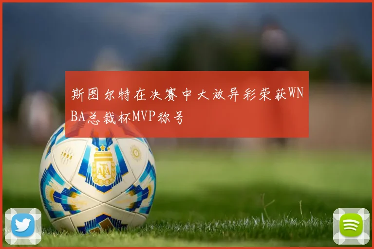 斯图尔特在决赛中大放异彩荣获WNBA总裁杯MVP称号